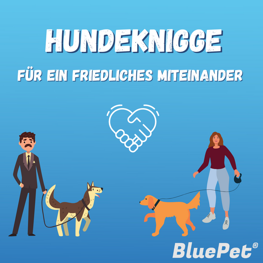 Hundeknigge: friedliches Miteinander unter Hundemenschen