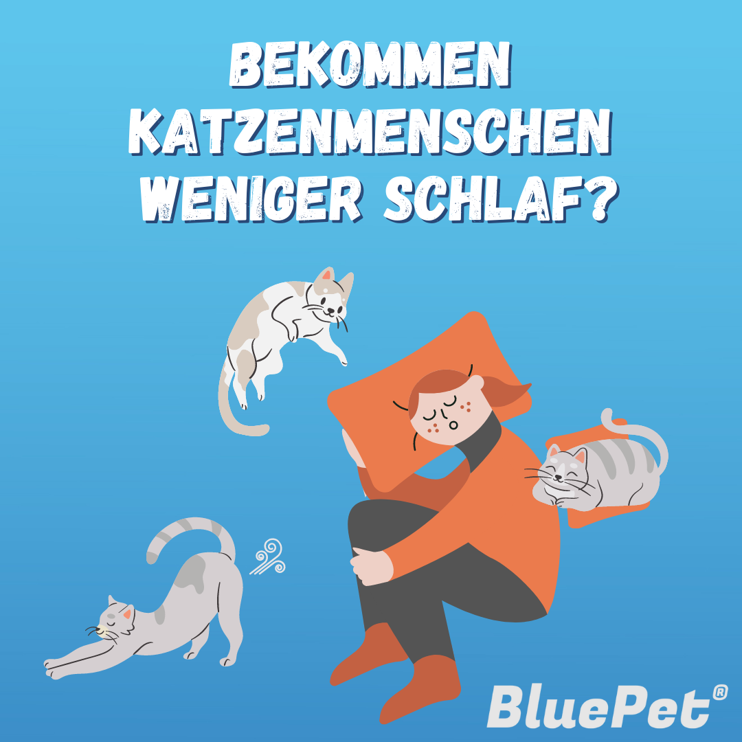 Bekommen Katzenmenschen weniger Schlaf?
