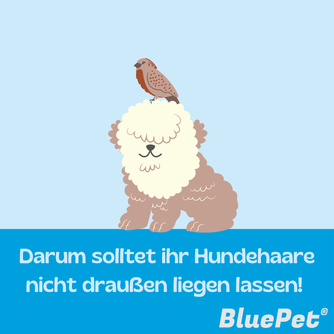 Grafik Hund mit Vogel