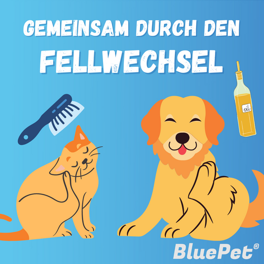 Grafik: Gemeinsam durch den Fellwechsel