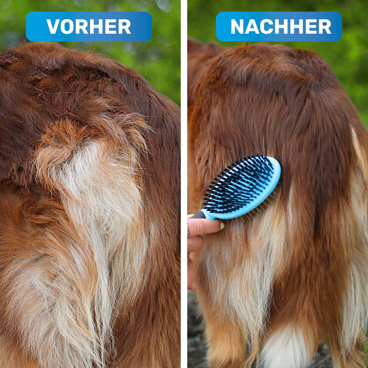 Doppelseitige Fellbürste Doppelbürste als Hundebürste und Katzenbürste für Hunde und Katzen mit Borsten und Pins entfernt sie Schmutz und Verknotungen aus dem Fell vorher nachher vergleich glattes geschmeidiges Fell