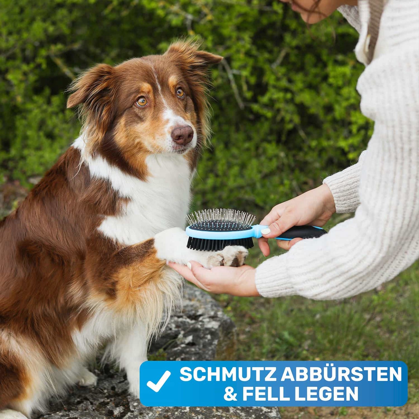Doppelseitige Fellbürste als Hundebürste und Katzenbürste für Hunde und Katzen mit Borsten und Pins entfernt sie Schmutz und Verknotungen aus dem Fell