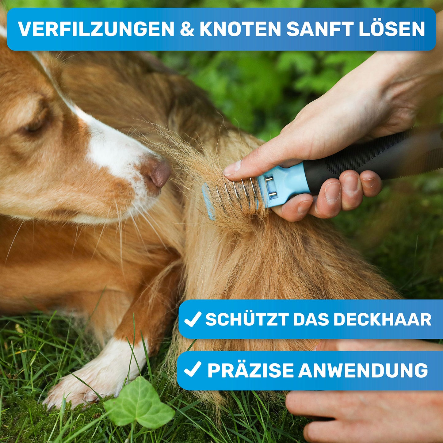 Entfilzungskamm Entfilzungsstriegel Trimmesser für alel Hunde und Katzen Rassen zur Entfernung von Knoten und Filz im Fell wird ausgekämmt
