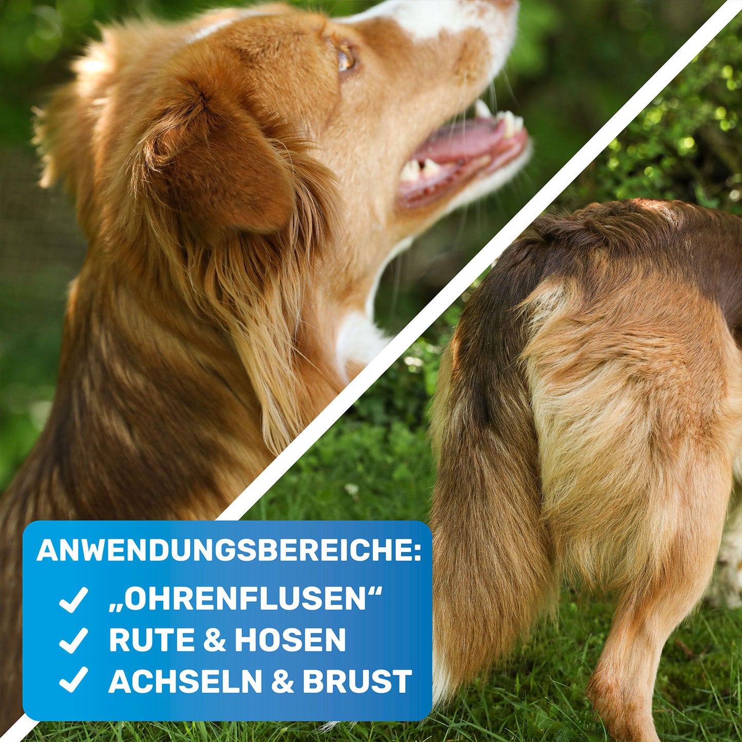 Entfilzungskamm Entfilzungsstriegel Trimmesser für alel Hunde und Katzen Rassen zur Entfernung von Knoten und Filz im Fell für Ohren und Hosen