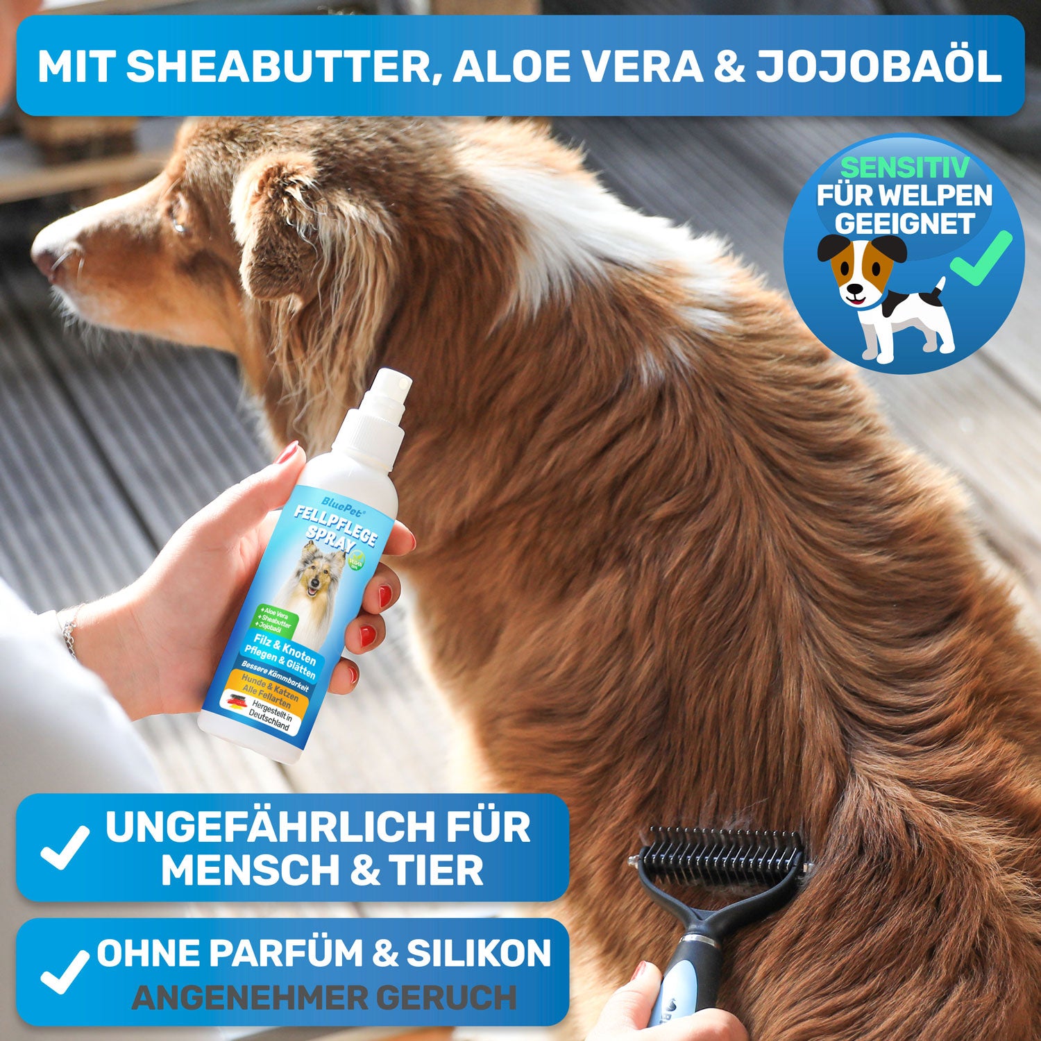 Entfilzungsspray Fellspray von BluePet das pflegt und glättet das Fell für bessere Kämmbarkeit und einen gesunden Hund und Katze Hergestellt in Deutschland das Fell lässt sich leicht bürsten