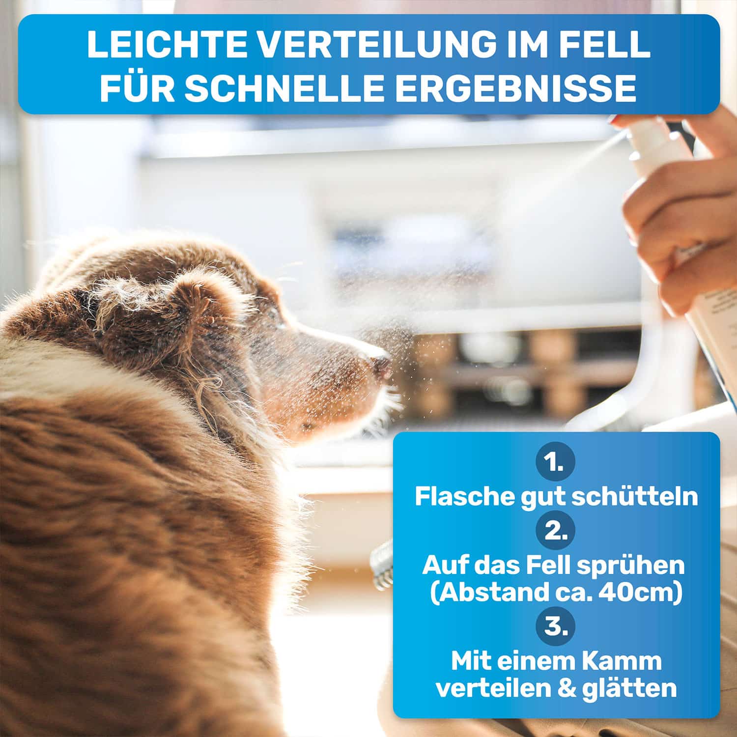Entfilzungsspray von BluePet das pflegt und glättet das Fell für bessere Kämmbarkeit und gegen Knoten und Filz. Einfache Anwendung durch feinen Sprühnebel.