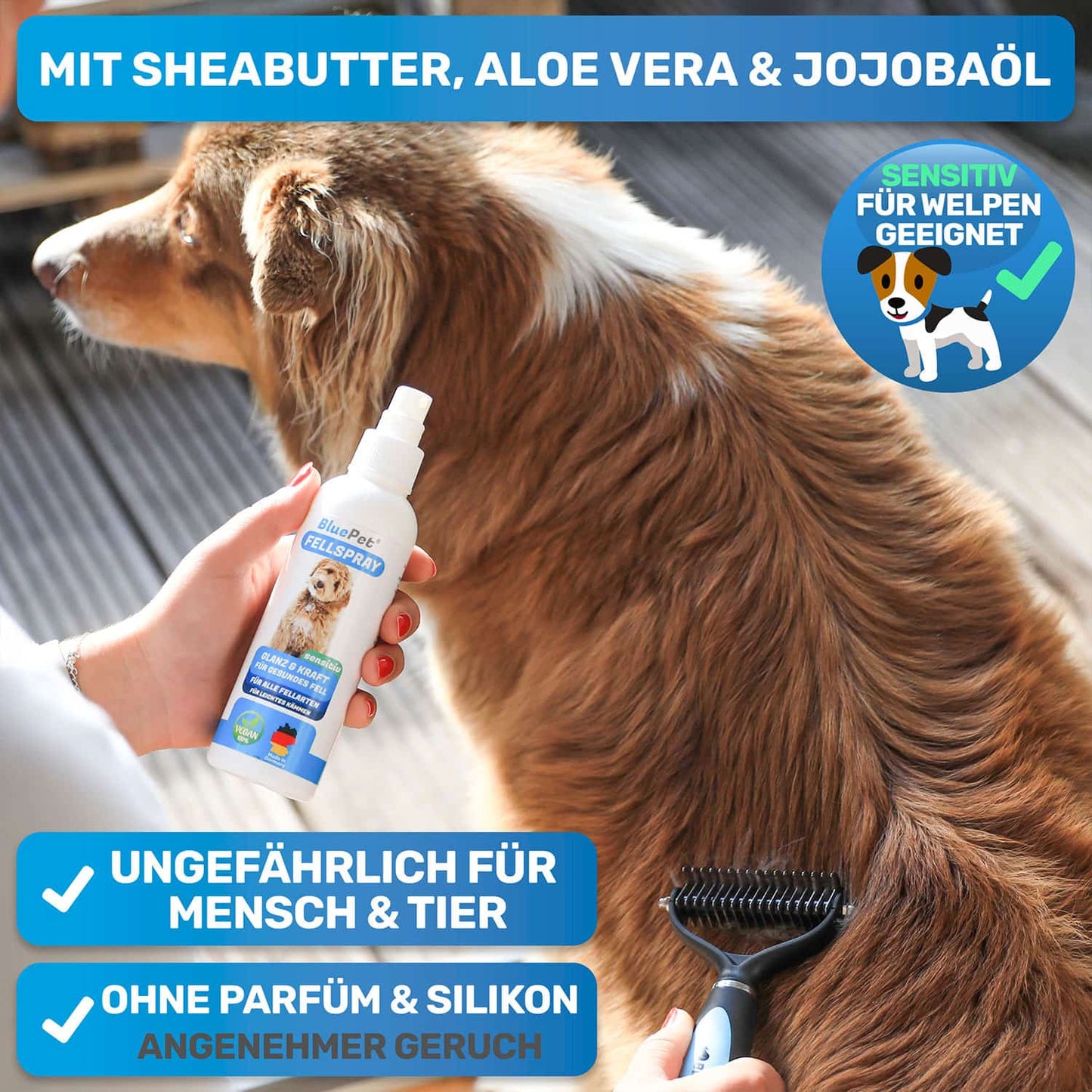 Entfilzungsspray Fellspray von BluePet das pflegt und glättet das Fell für bessere Kämmbarkeit und einen gesunden Hund und Katze Hergestellt in Deutschland das Fell lässt sich leicht bürsten