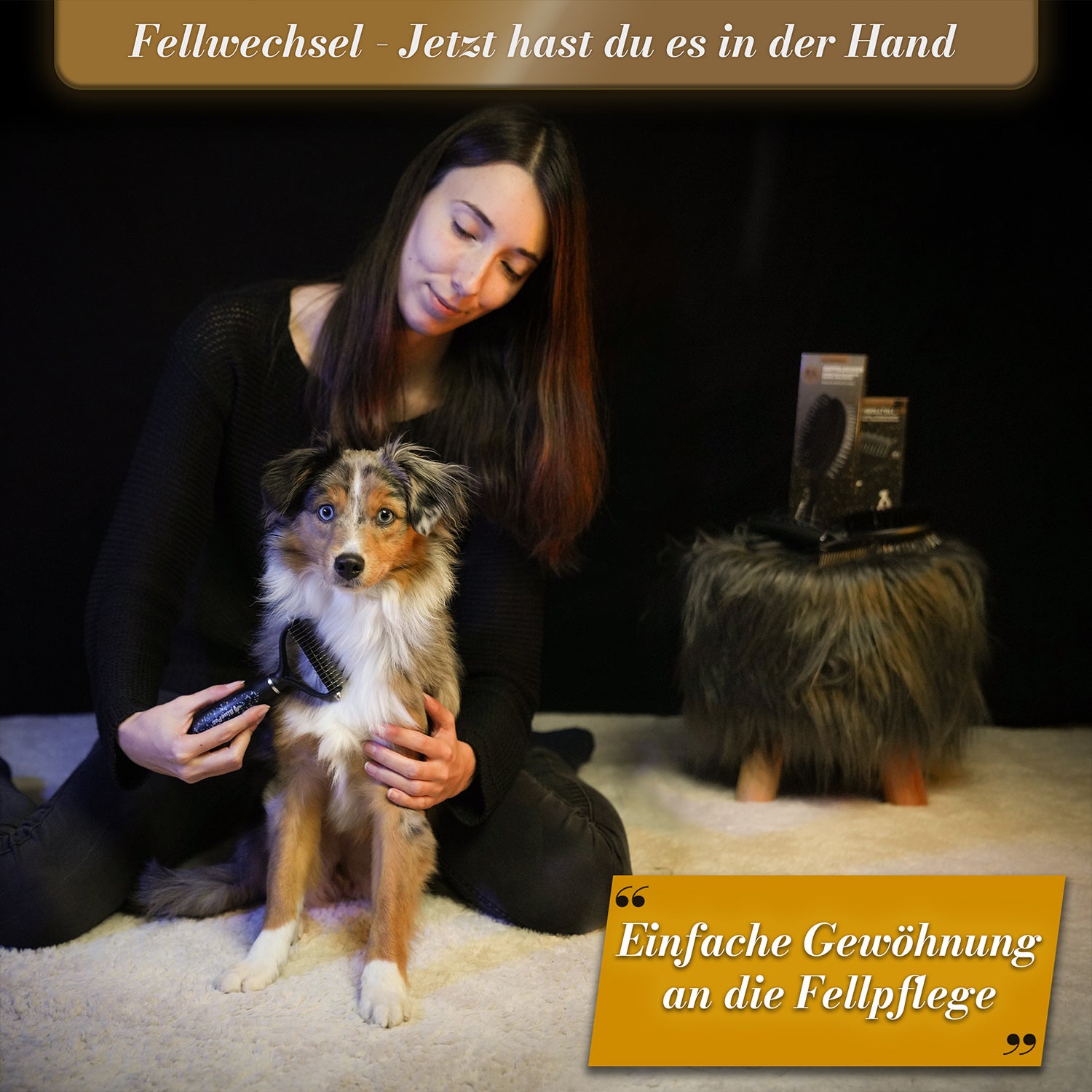 BluePet Unterwollbuerste ML Limited Edition Schwarz zur Entfernung von Unterwolle und Verfilzungen. Hundebürste & Katzenbürste für den Fellwechsel - einfache Gewöhnung auch für Junghunde