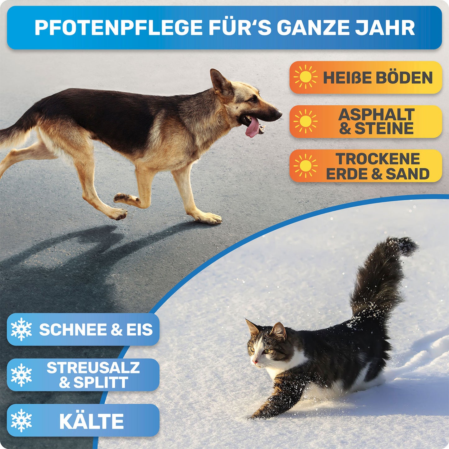 Übersicht über Anwendungsbereiche für BluePet Pfotenbalsam für Hunde zu jeder Jahreszeit
