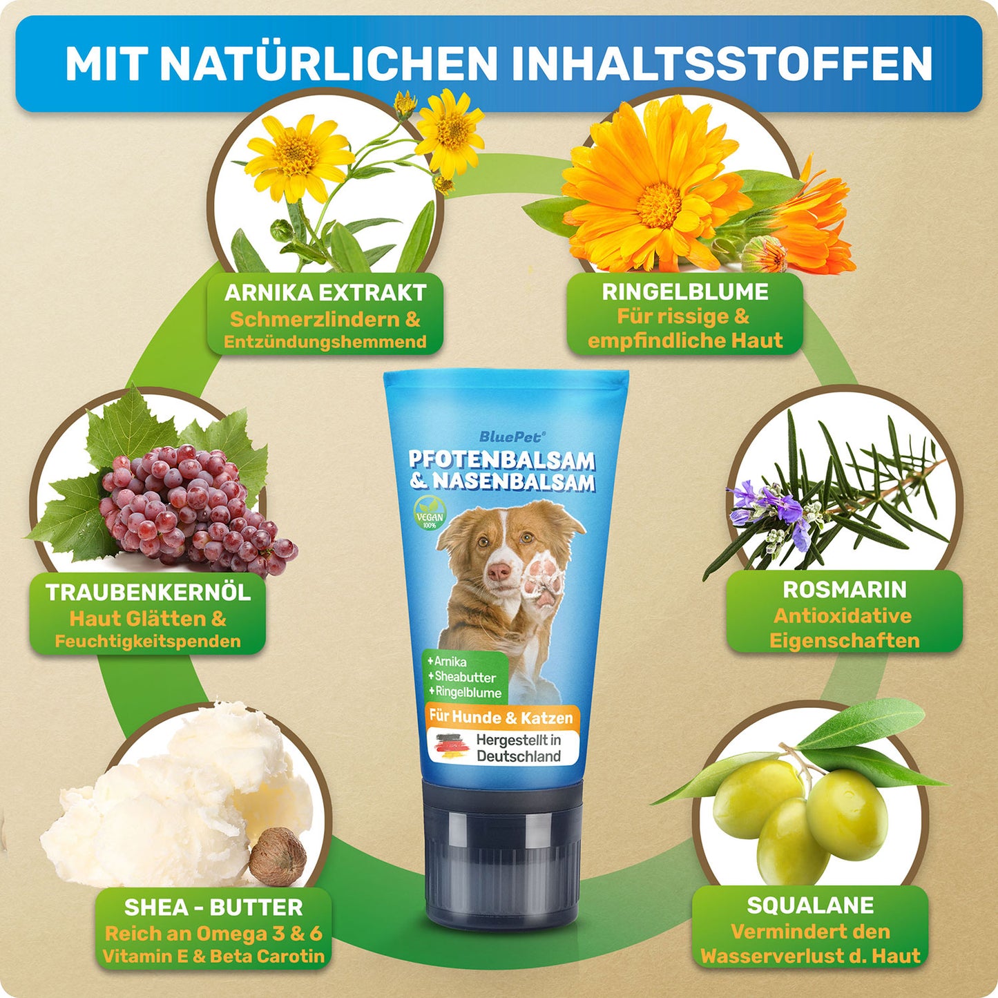 Die natürlichen Inhaltsstoffe des BluePet Pfotenbalsams für Hunde: Arnika, Ringelblume, Traubenkernöl, Rosmarin, Shea-Butter und Squalane