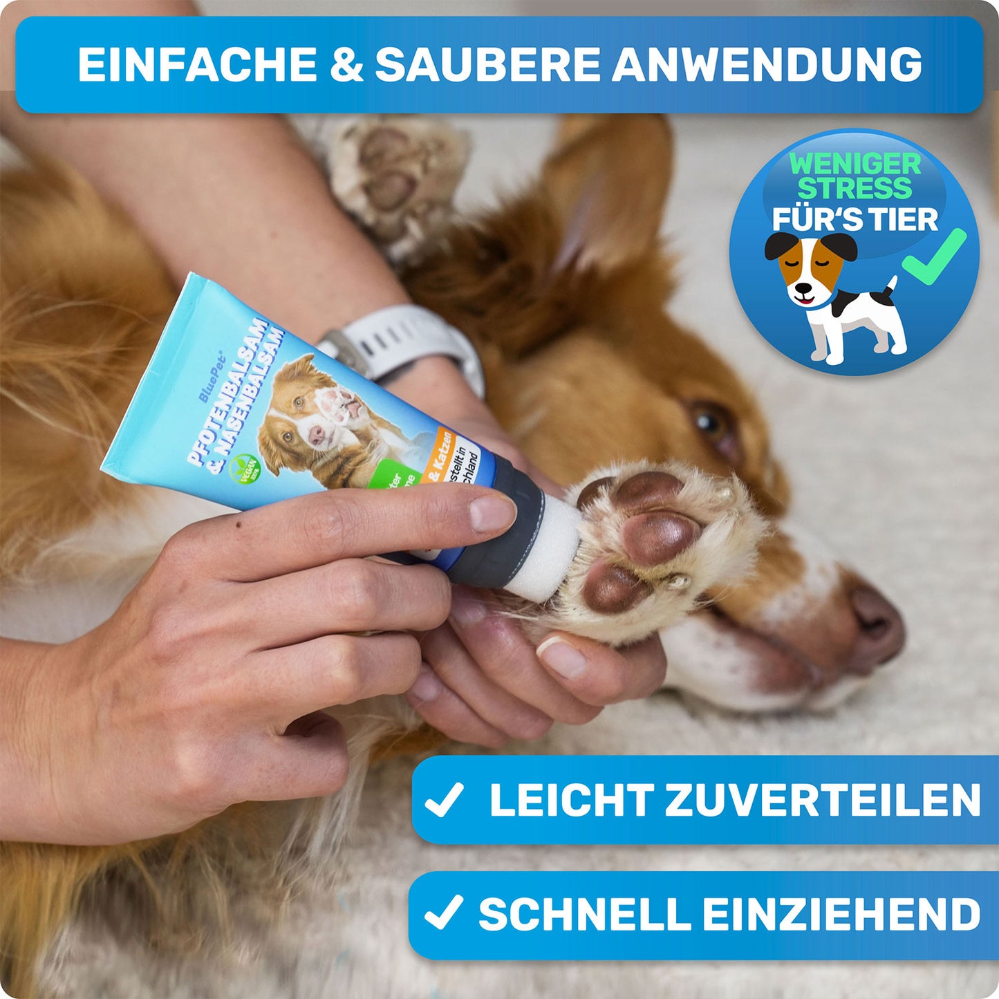 Pfotenbalsam wird auf die Pfoten eines Hundes aufgetragen. Dank Schwammaufsatz bleiben die Hände sauber.