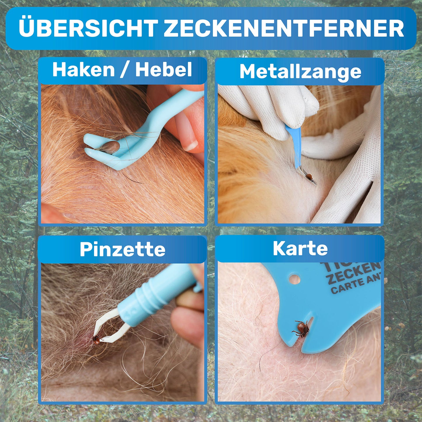 10 teiliges Set Zeckenentferner, Notfallset für Hunde & Katzen