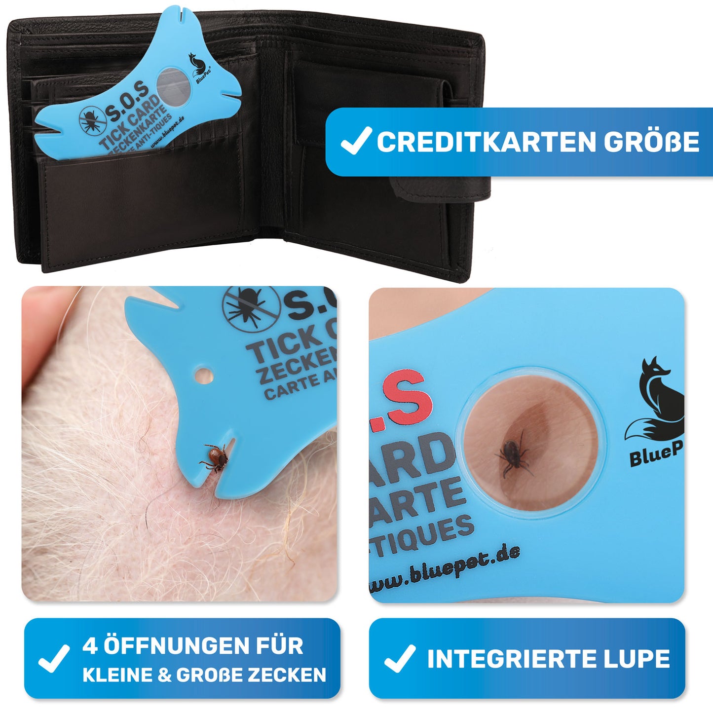 Zeckenkarte mit Lupe, Zeckenentferner