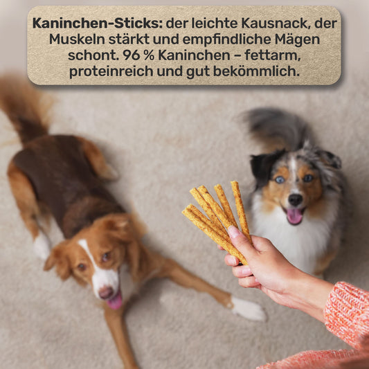 Kaninchen Mini-Sticks