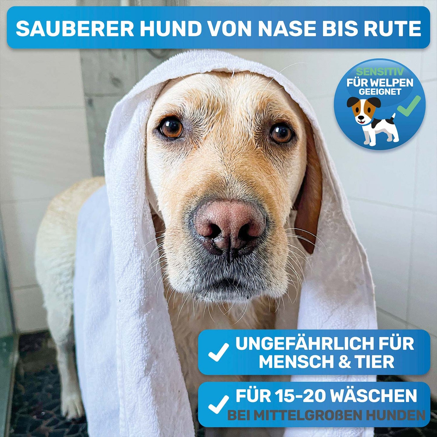 Professionelles Hunde-Fellpflege-Set für Langhaar