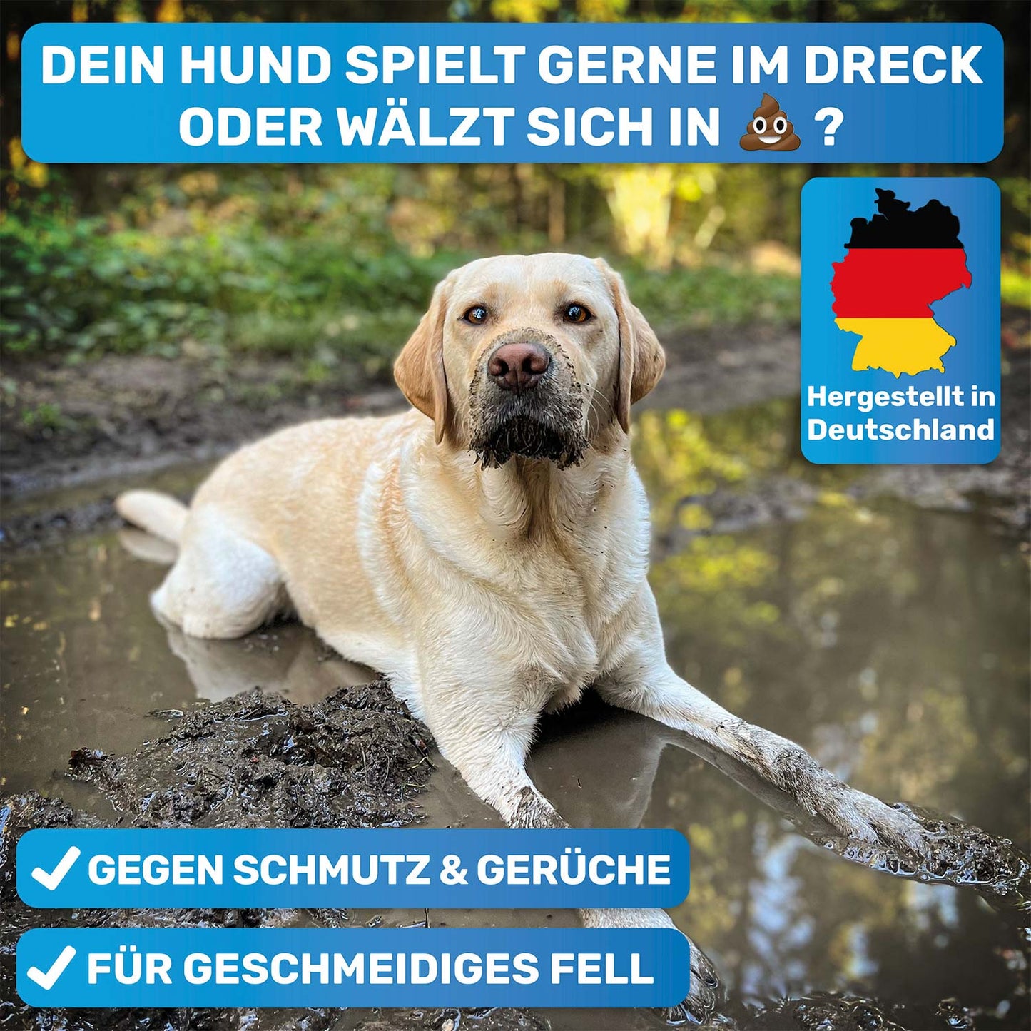 Professionelles Hunde-Fellpflege-Set für Langhaar