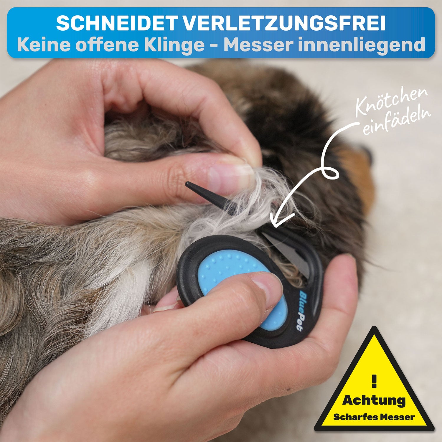 Ein Filzkmoten wird aus dem Fell eines Hundes entfernt mit dem Entfilzungsmesser.