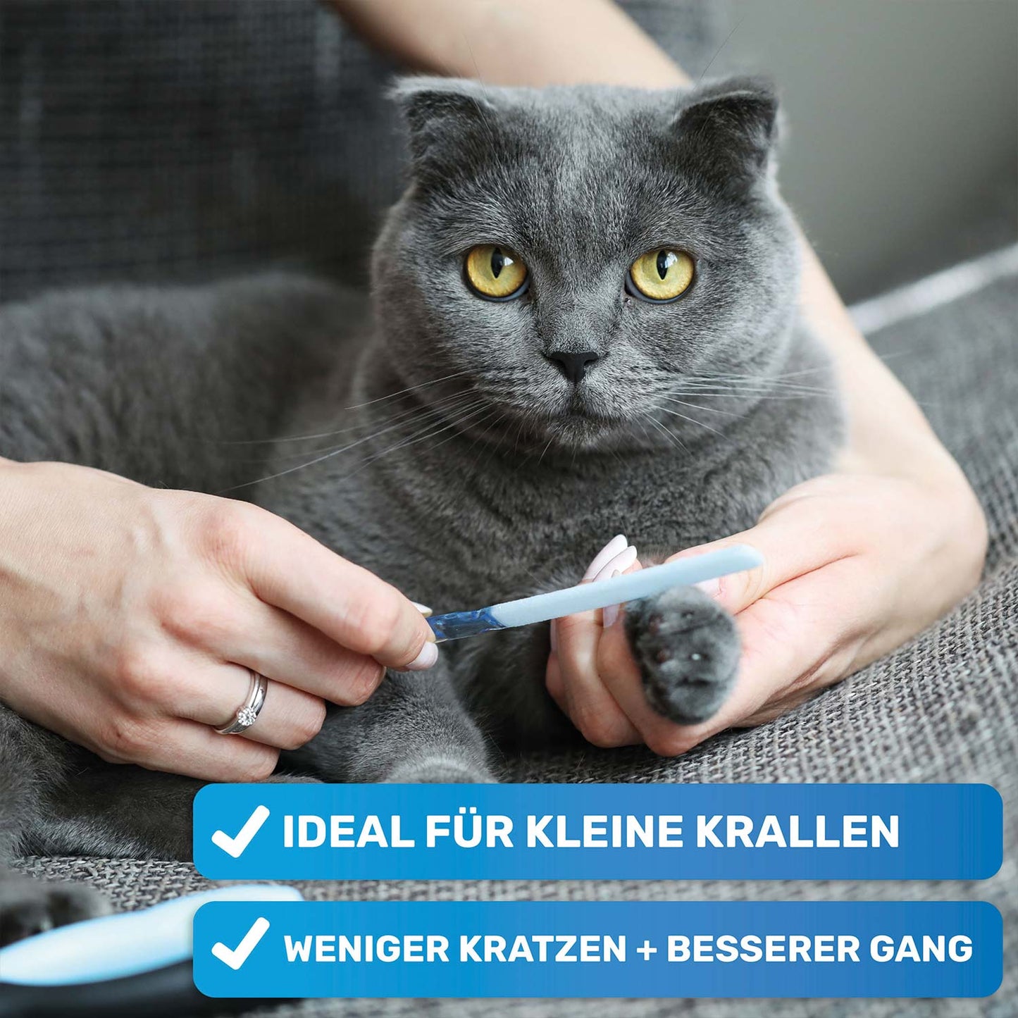 Großes Welpen-Pflege-Komplettset