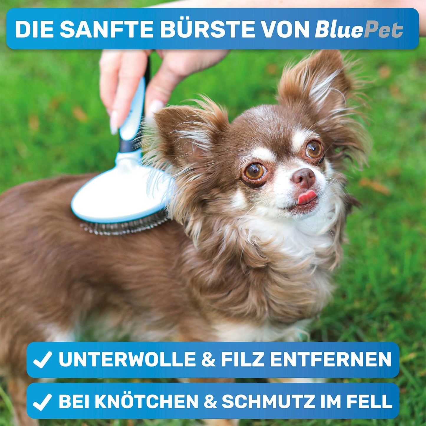 Großes Welpen-Pflege-Komplettset