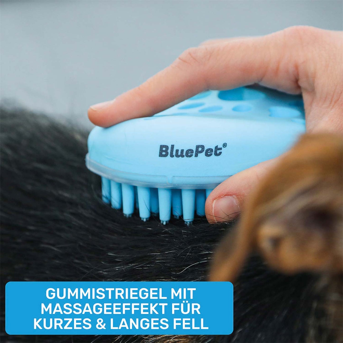 Welpen Fellpflege-Starterset