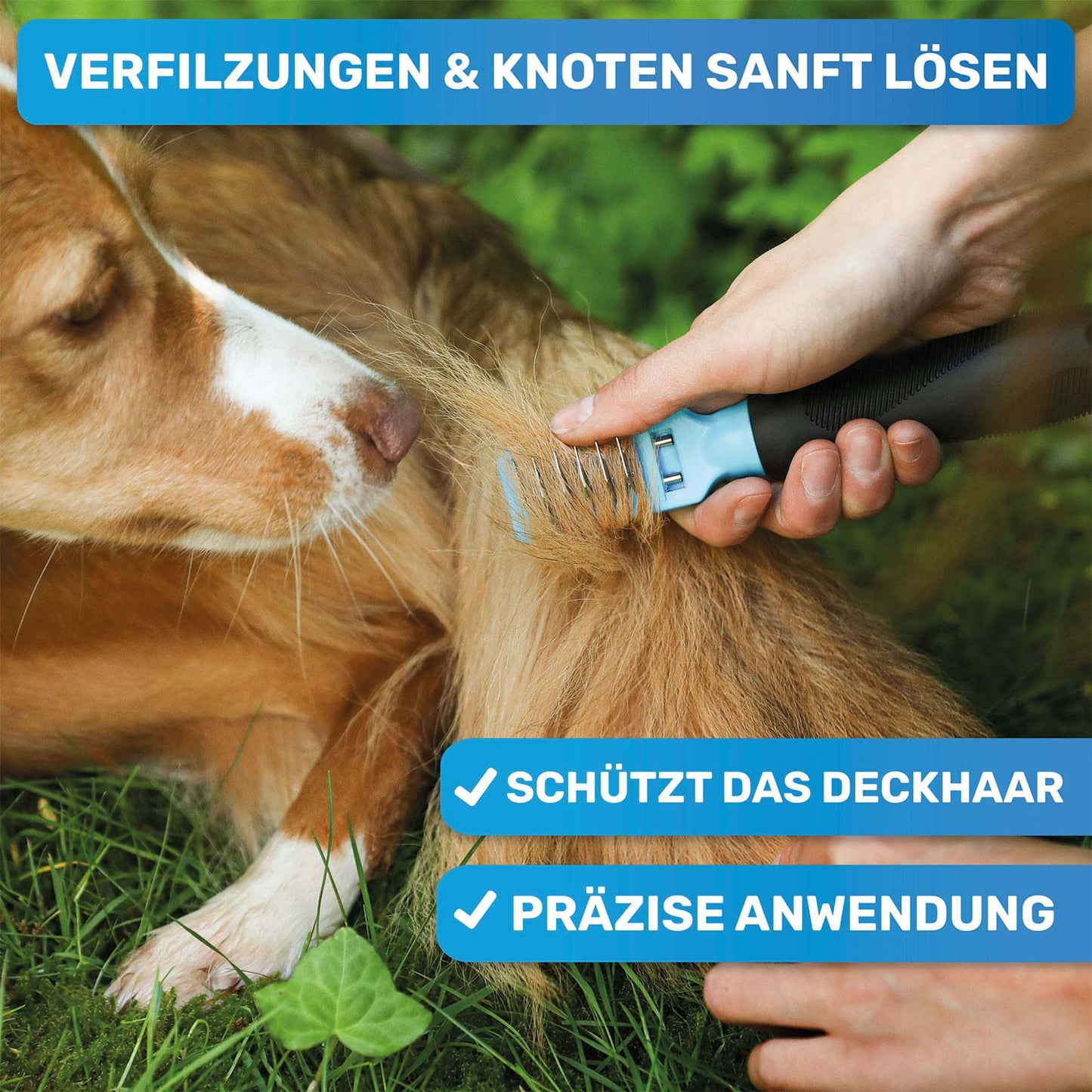 Professionelles Hunde-Fellpflege-Set für Langhaar