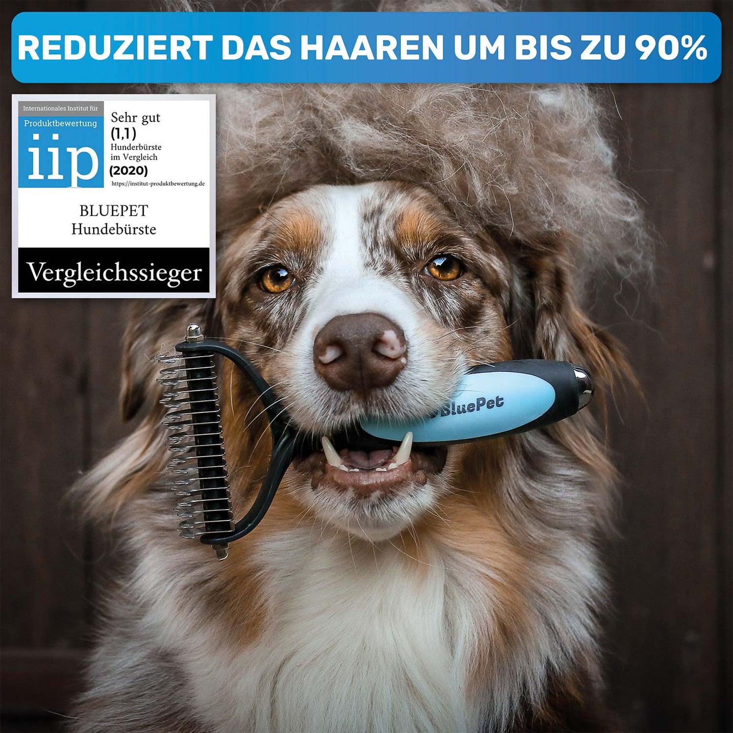 Professionelles Hunde-Fellpflege-Set für Langhaar