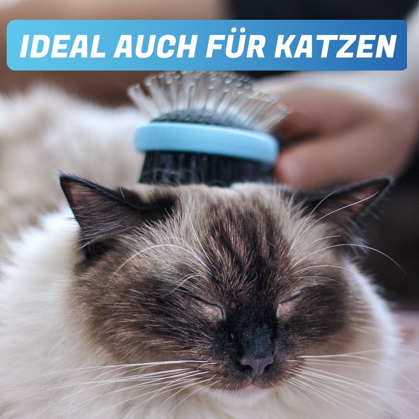 Doppelbürste "Doppeldecker" für Katzen Doppelseitige 2-in-1 Fellbürste