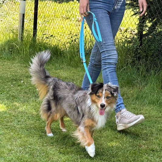 BluePet x CustomPaws BioThane® Hundeleine 3-fach verstellbar