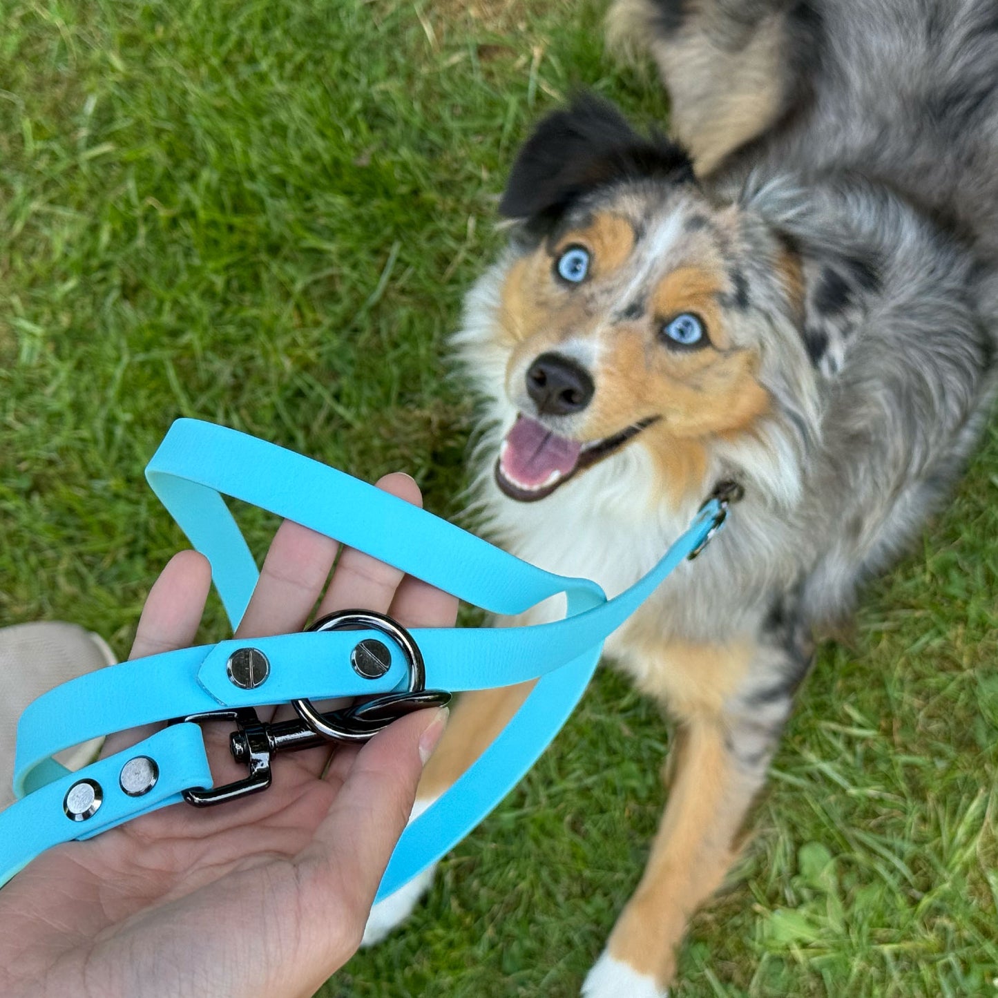 BluePet x CustomPaws BioThane® Hundeleine 3-fach verstellbar