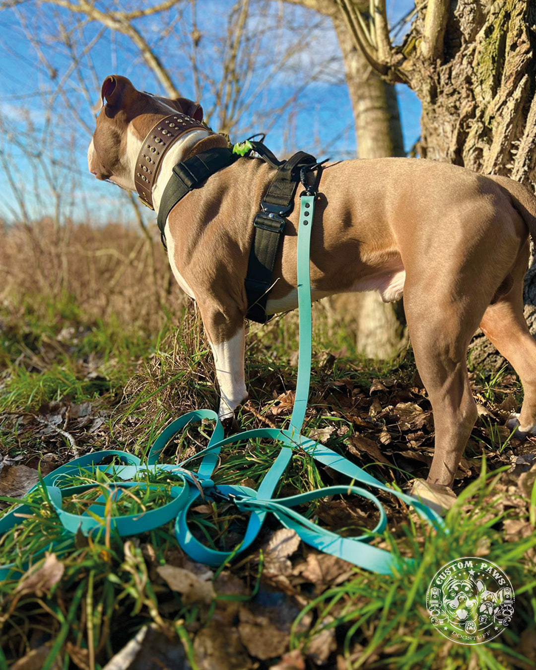 BluePet x CustomPaws BioThane® Schleppleine mit Sicherheitskarabiner und abnehmbarer Schlaufe / Kurzführer