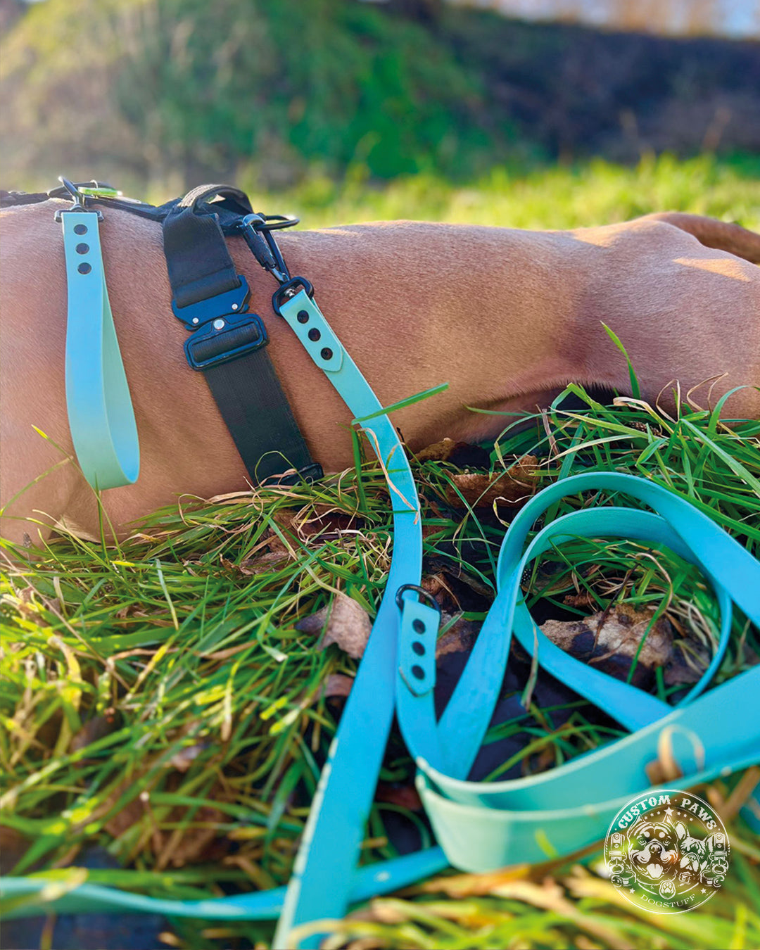 BluePet x CustomPaws BioThane® Schleppleine mit Sicherheitskarabiner und abnehmbarer Schlaufe / Kurzführer