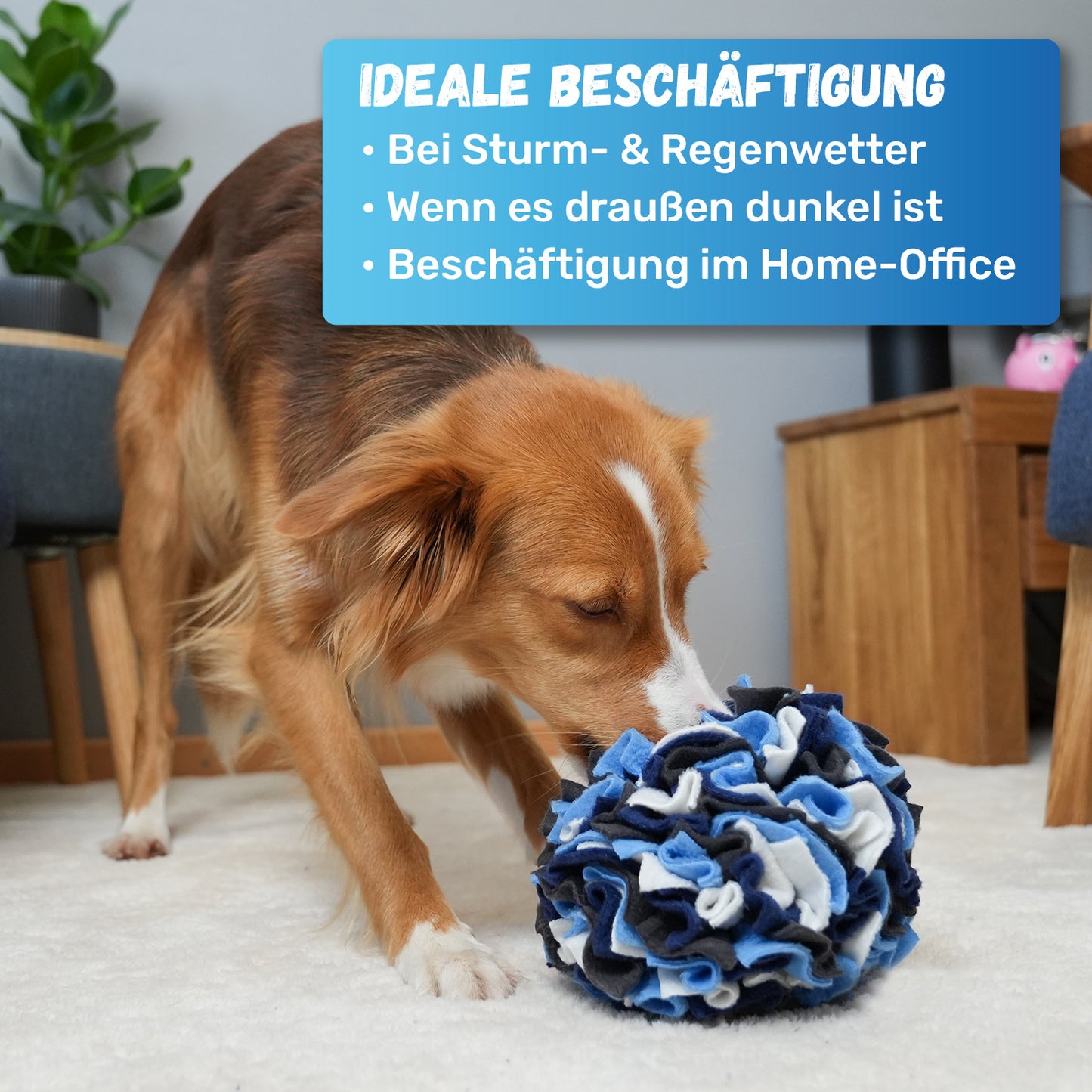 Schnüffelball für Hunde "handgefertigt"