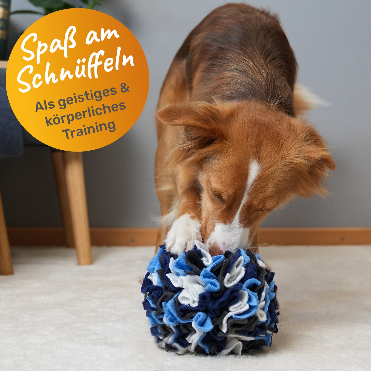 Schnüffelball für Hunde "handgefertigt"