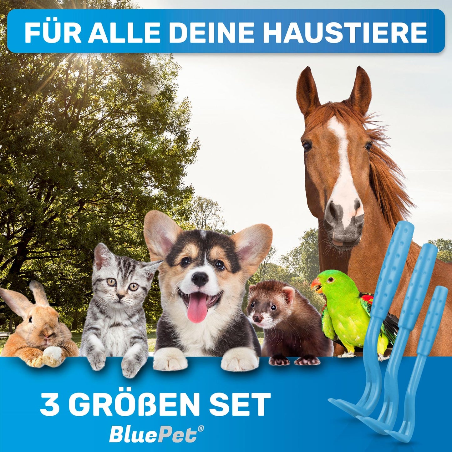 3er Set Zeckenhaken, Zeckenentferner