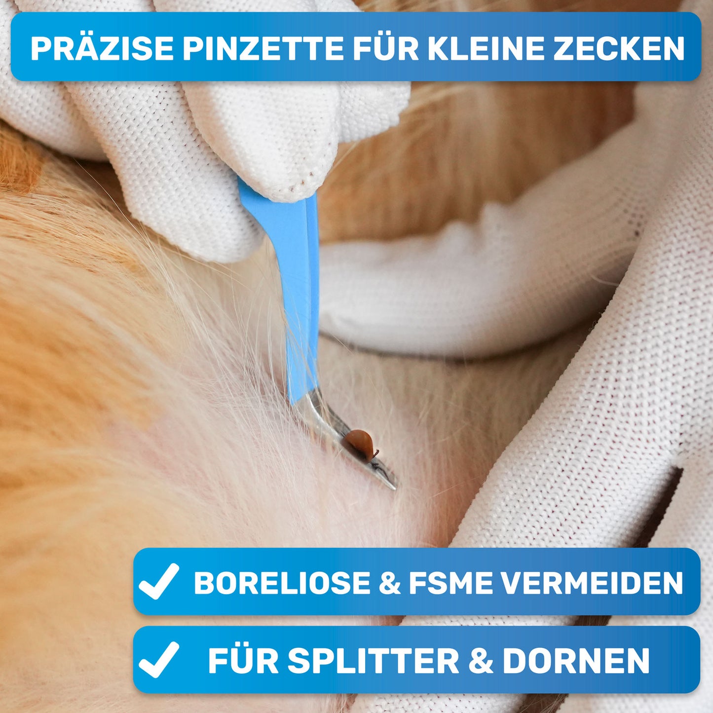 10 teiliges Set Zeckenentferner, Notfallset für Hunde & Katzen