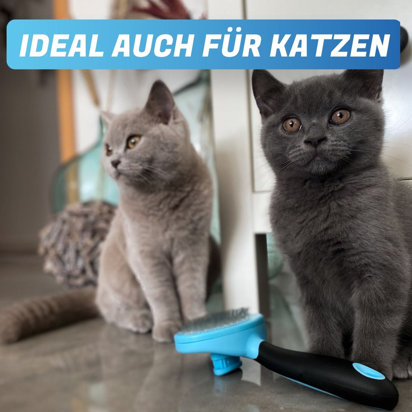 BluePet Zupfzeug selbstreinigende Zupfbürste für Hunde und Katzen - Ideal als Katzenbürste