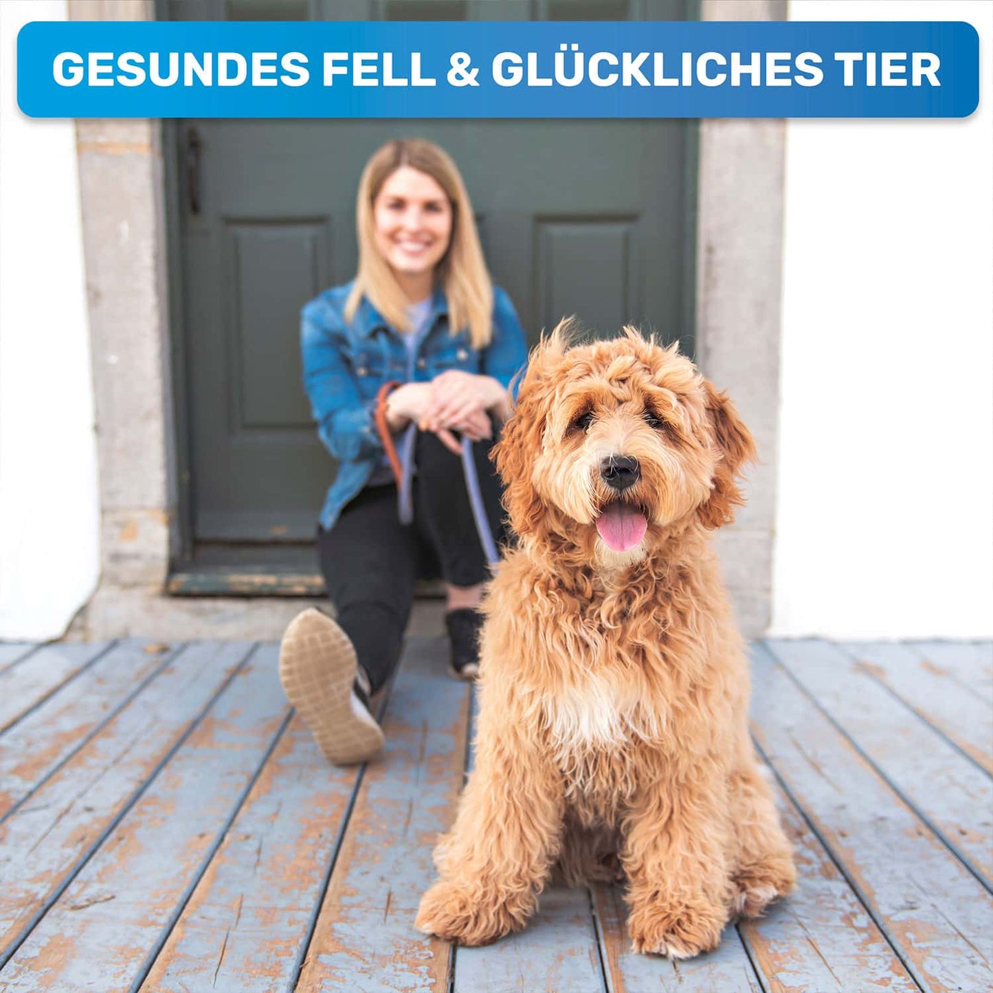 Gluecklicher Hund und Frau denn Fellpflege macht gesund und glücklich