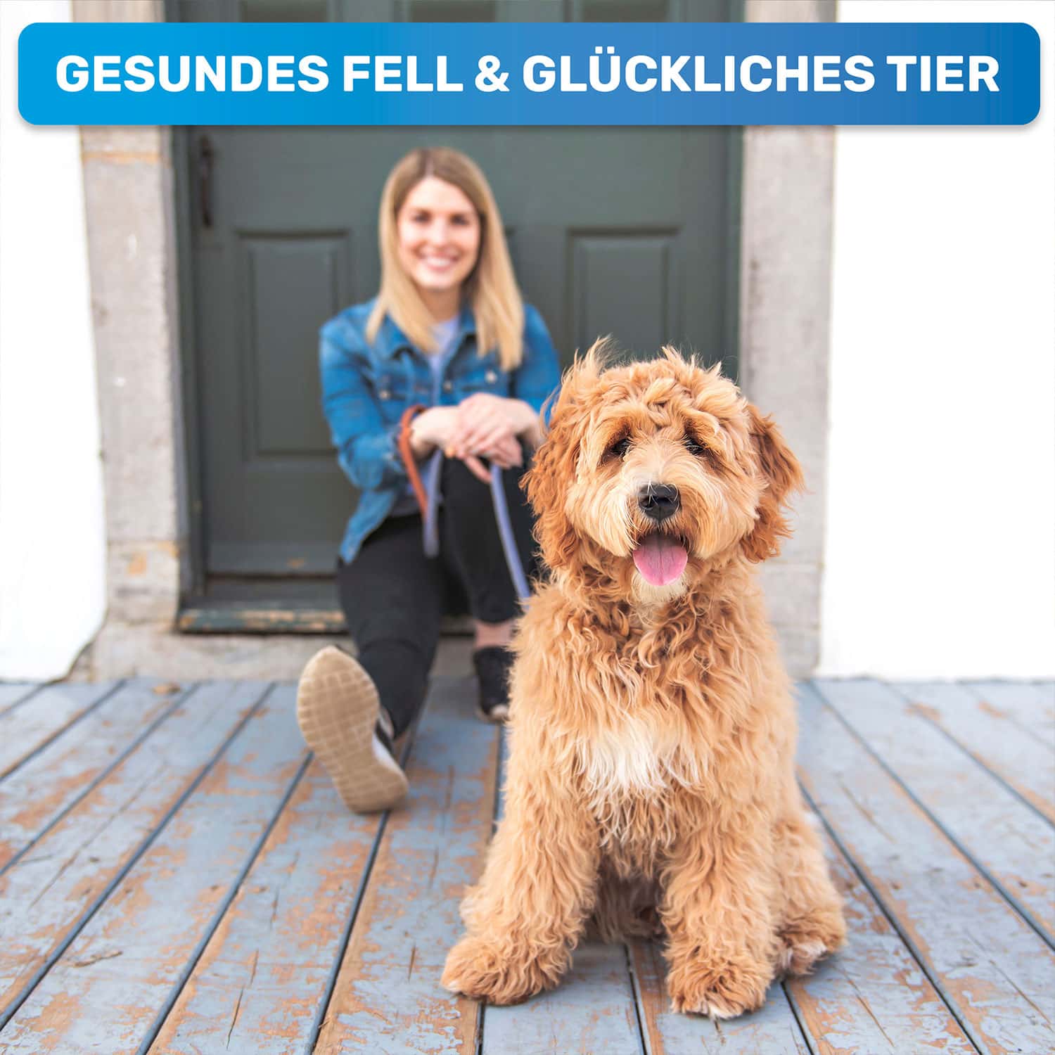 Gluecklicher Hund und Frau denn Fellpflege macht gesund und glücklich