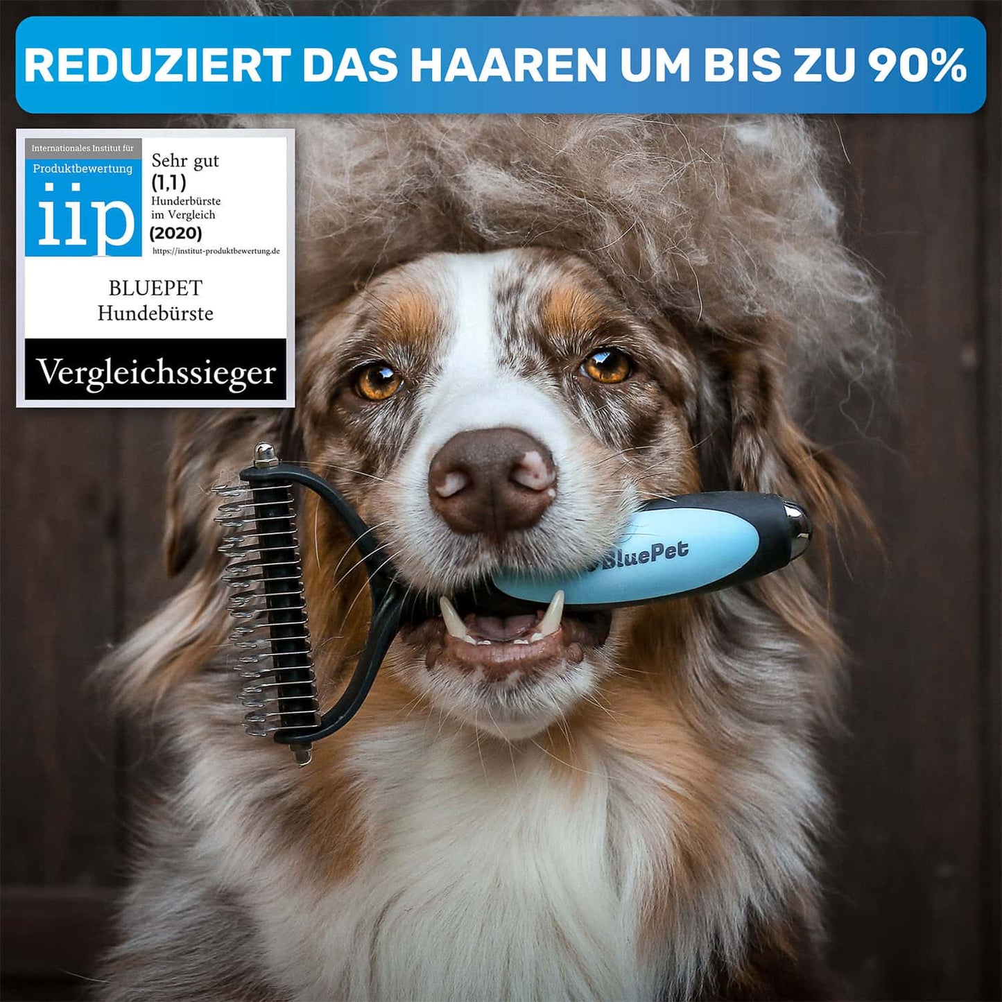 Langhaar Fellpflege-Set