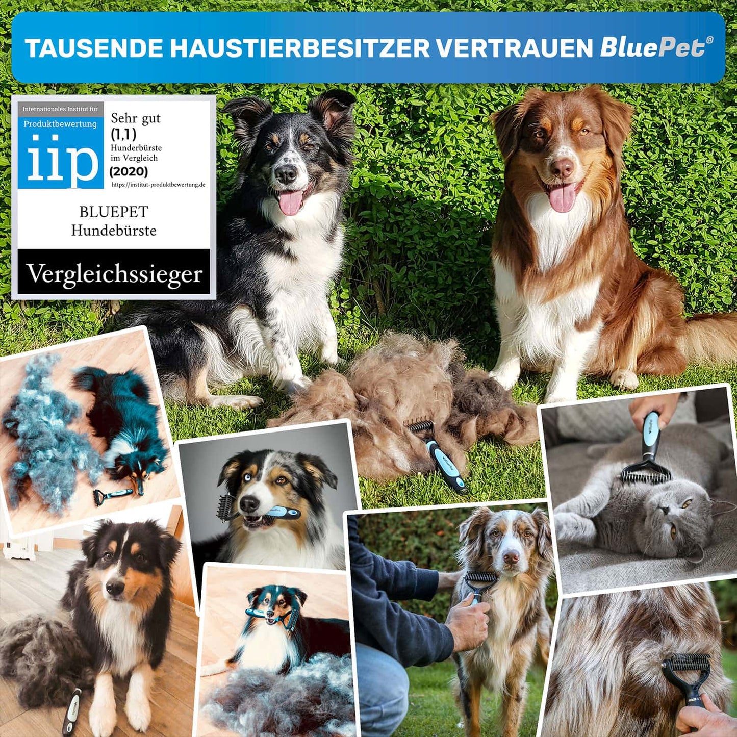 Langhaar Fellpflege-Set