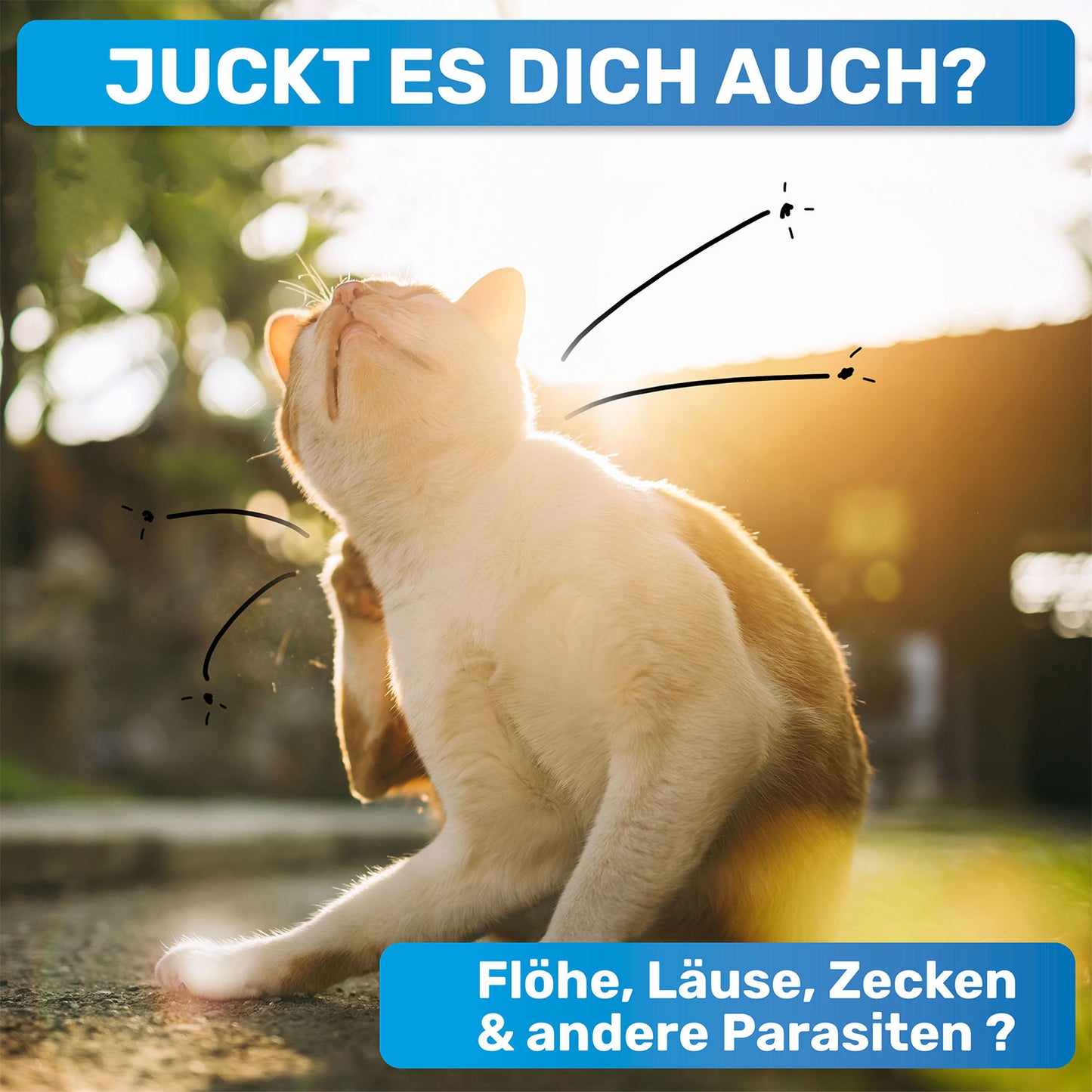 "FlohGo" Flohkamm für Hunde und Katzen
