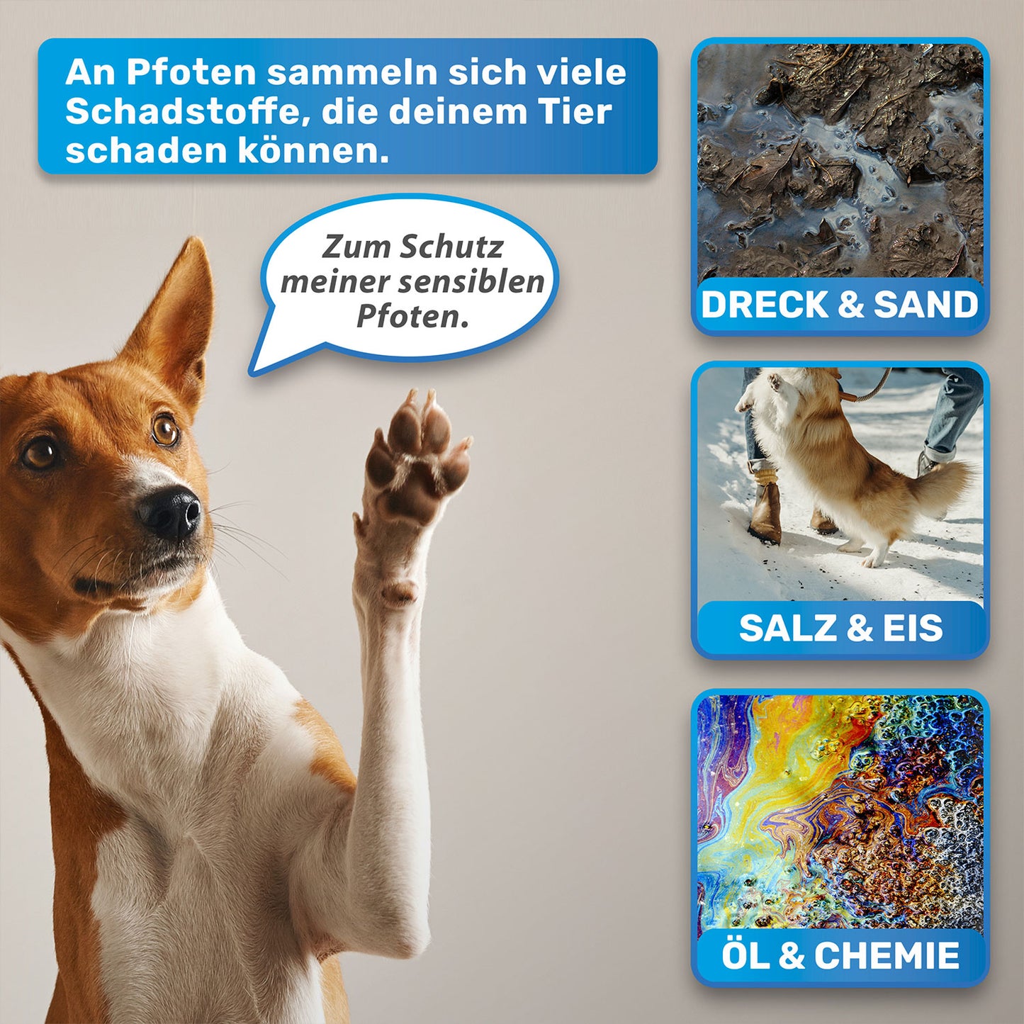 "PfotenBlitz" Pfotenreiniger für Hunde