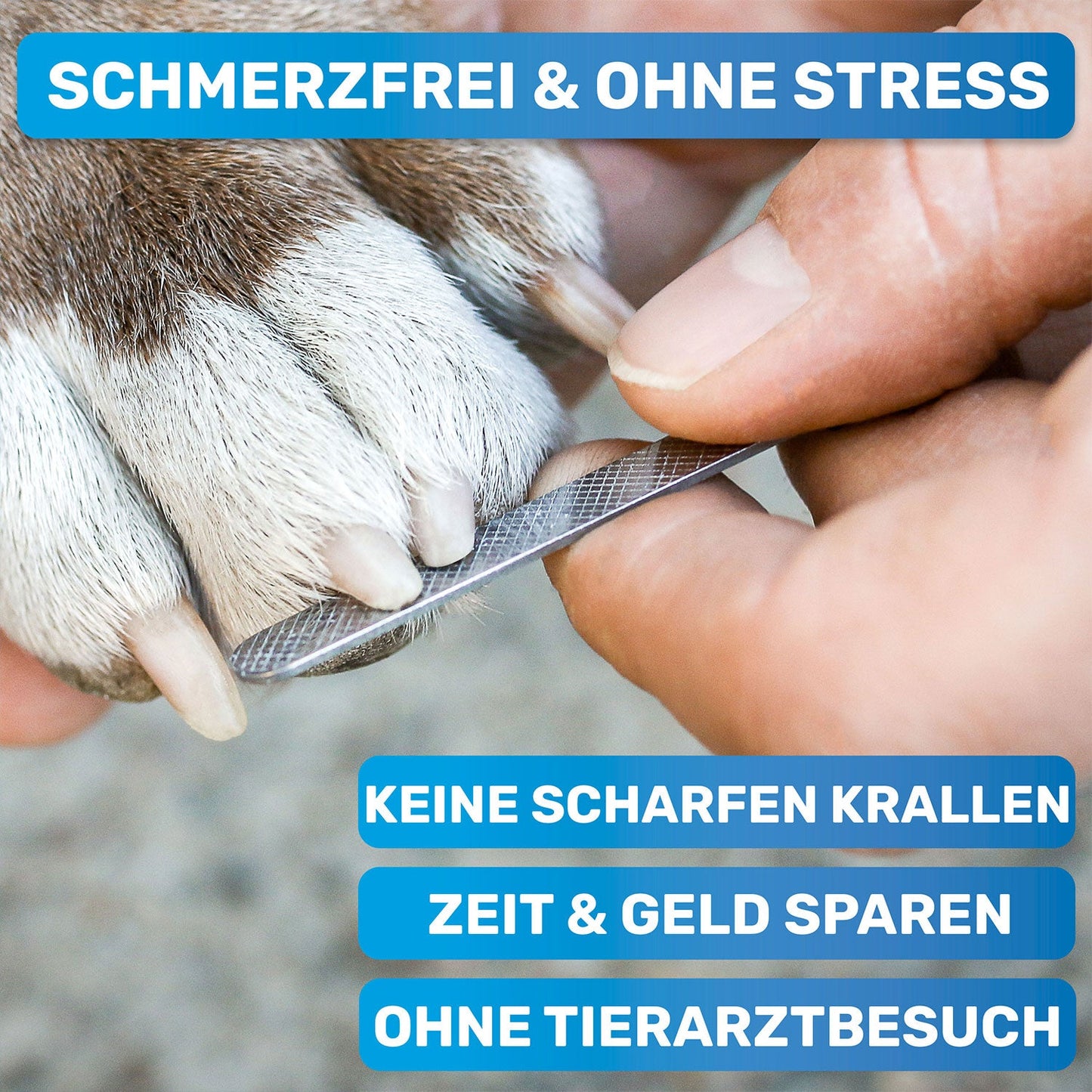 Krallenschere mit Schutz Gr. M-L (B-Stock)