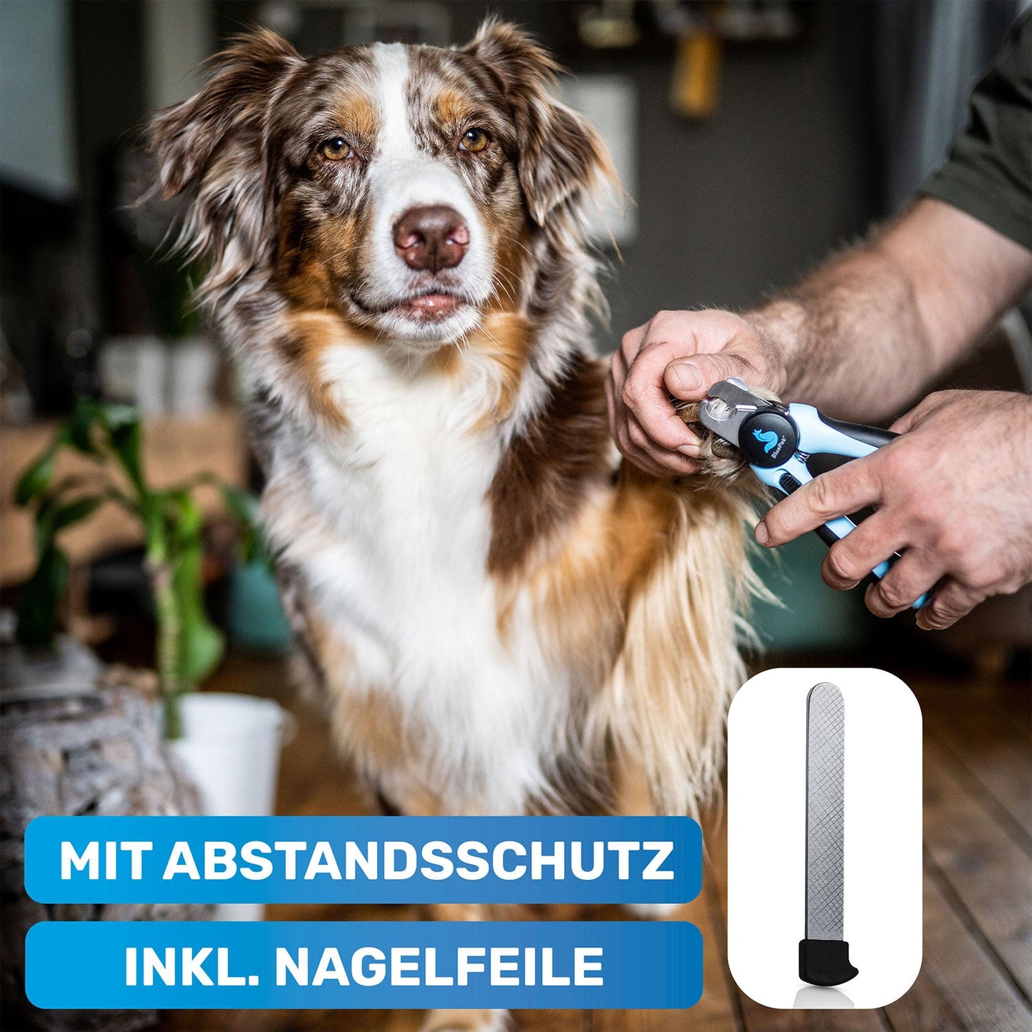Krallenschere mit Schutz Gr. M-L (B-Stock)