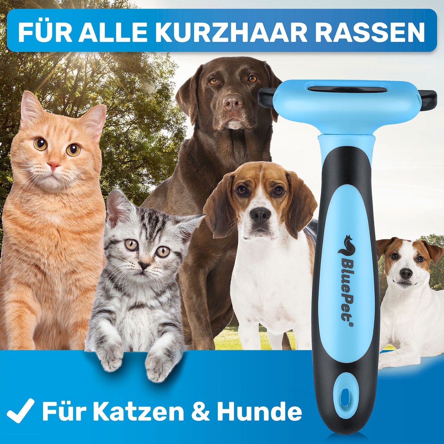BluePet UnterwollGlück Unterwollbürste Deshedder für kurzes Fell ideal für Hunde und Katzen