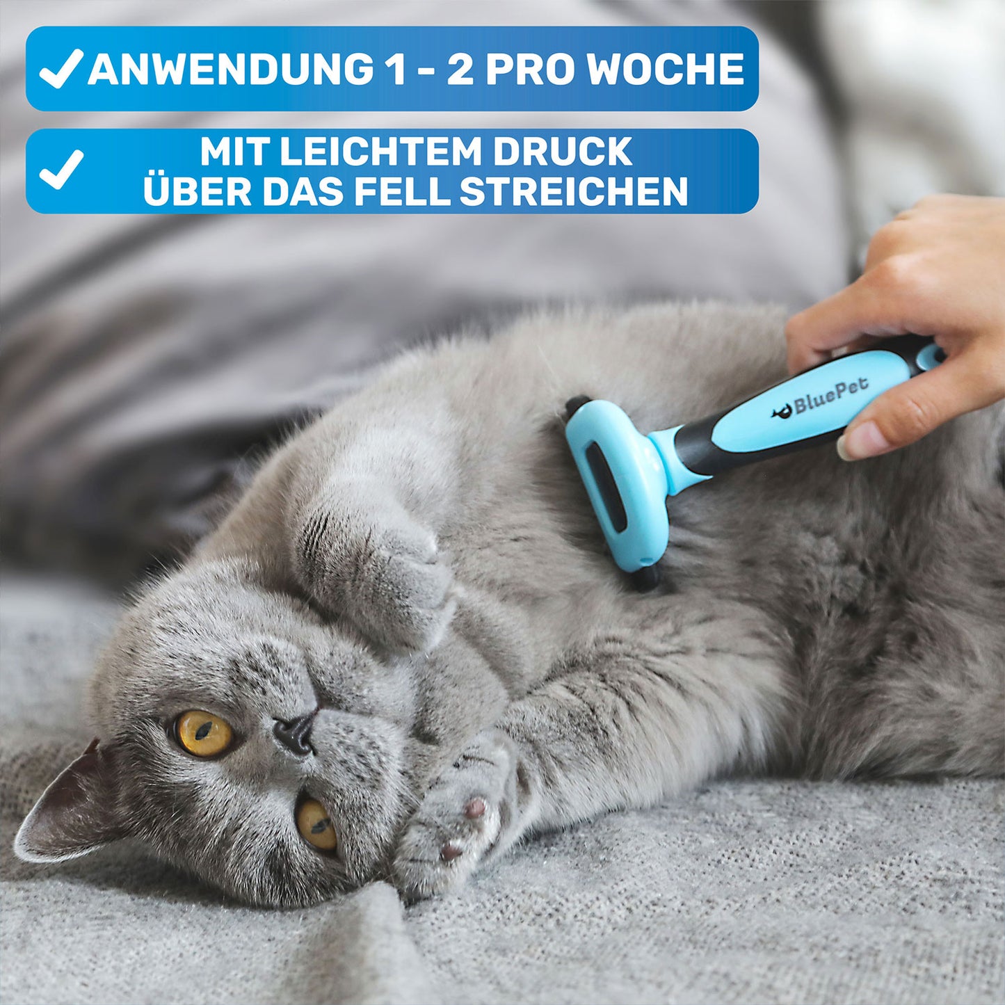 BluePet UnterwollGlück Unterwollbürste Deshedder für kurzes Fell ideal für Hunde und Katzen Richtige Anwendung
