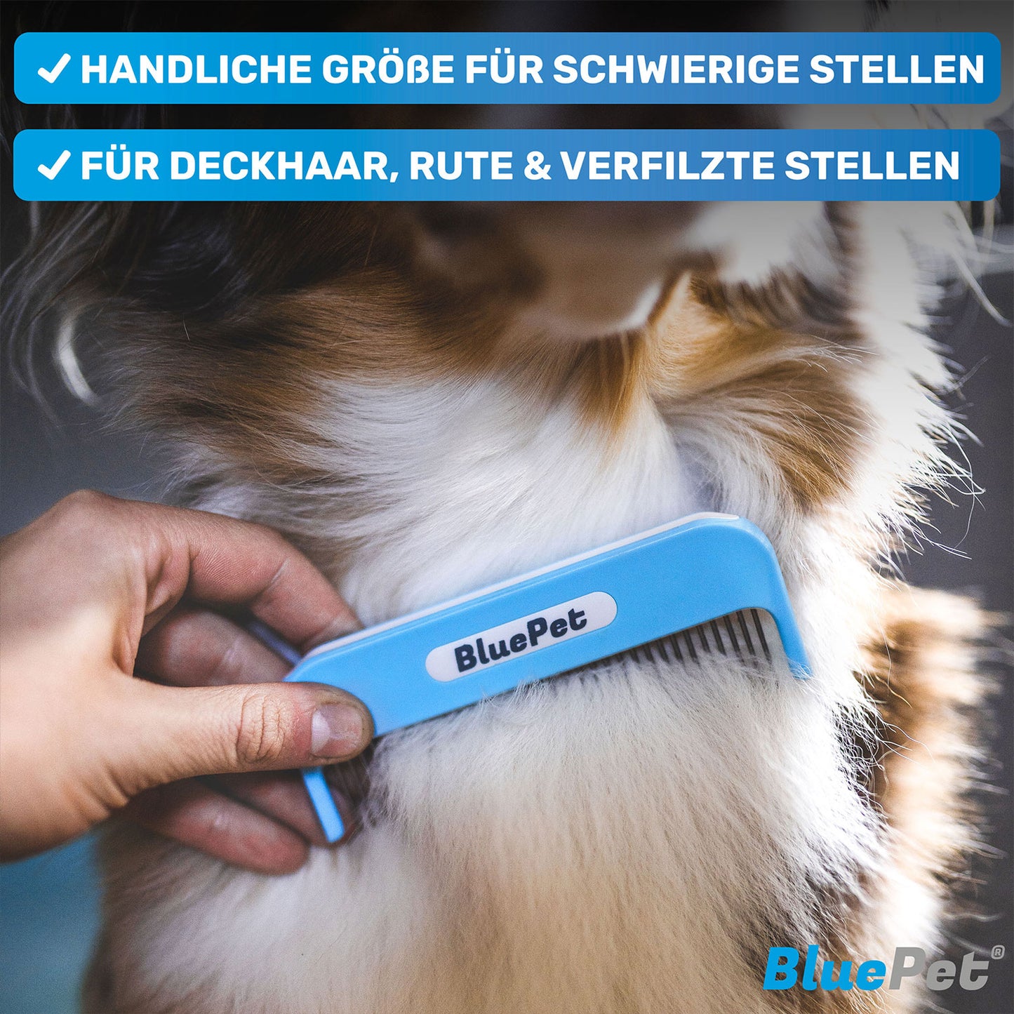 Anwendungsbereiche des BluePet Entfilzungskamms "Zauberkamm"