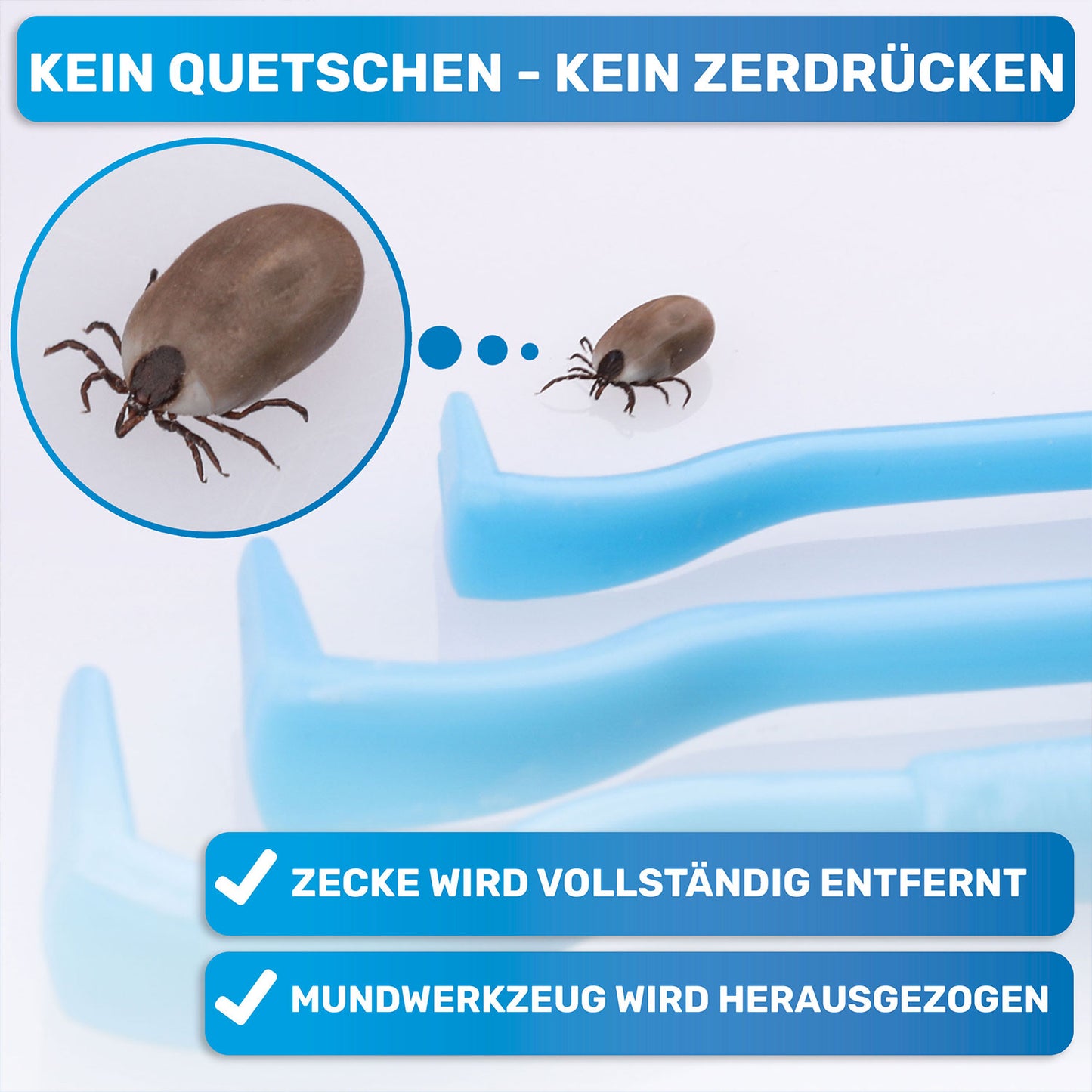 3er Set Zeckenhaken, Zeckenentferner