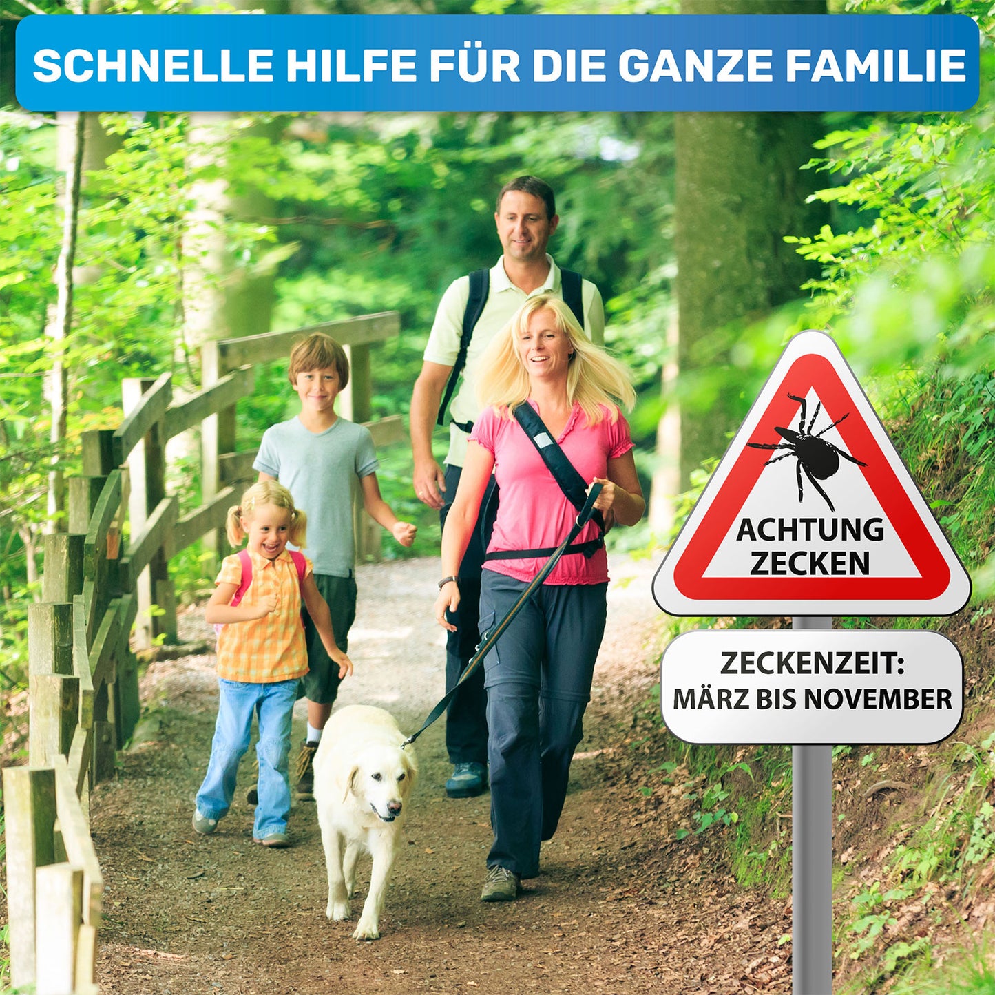 3er Set Zeckenhaken, Zeckenentferner