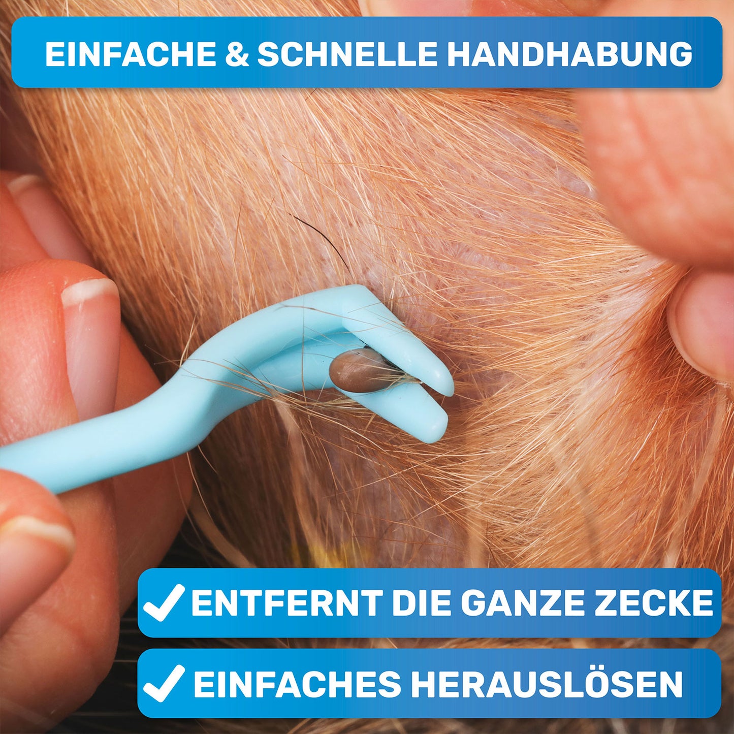 10 teiliges Set Zeckenentferner, Notfallset für Hunde & Katzen